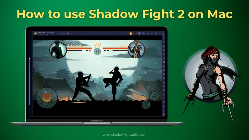 Shadow Fight 2 for Mac