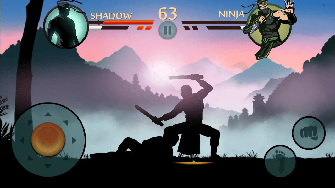 Shadow vs Ninja Fight